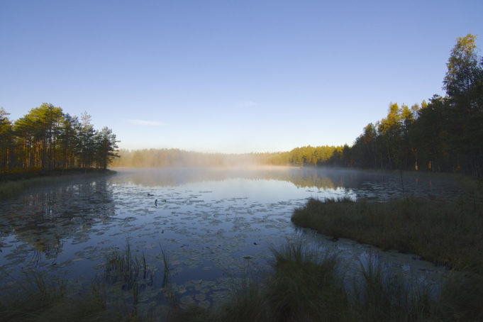 Nokian Koukkujärvi kuvattuna kesäisenä aamuna, kun järveltä nousee vesihöyryä auringon noustessa.