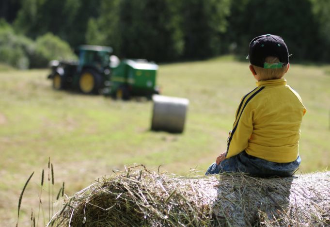 Pieni poika istuu heinäpaalin päällä ja katselee pellolle, jossa on traktori heinätöissä.