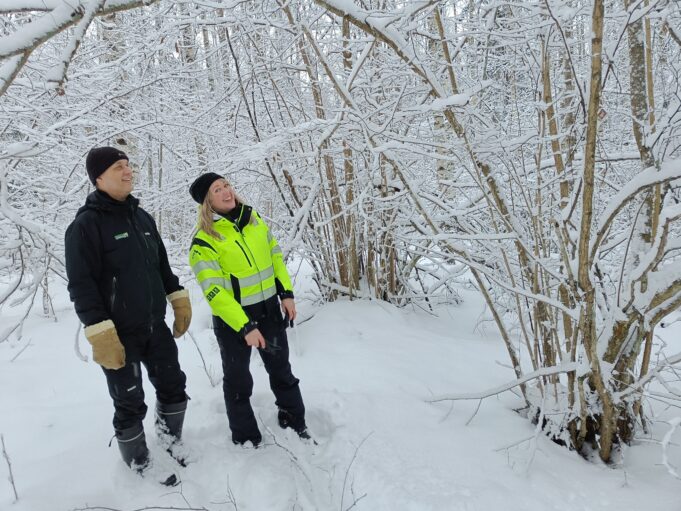 Luonnonhoidon asiantuntija Jukka Ruutiainen Suomen metsäkeskuksesta ja Nokian kaupunginpuutarhuri Venla Kuusela tarkastamassa hoitokohdetta Järvivainion pähkinäpensaslehdossa.