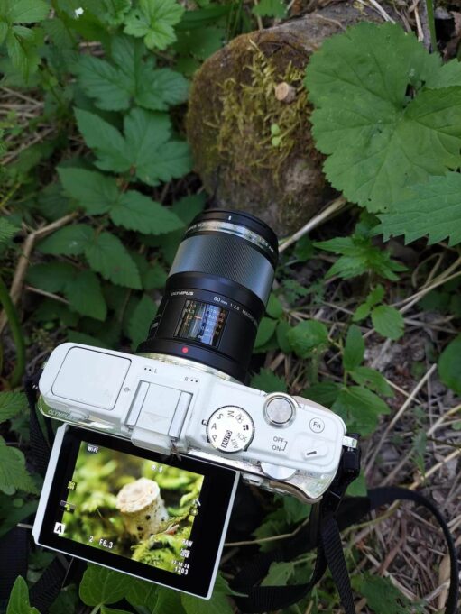 Kuvassa kamera, jonka näytössä näkyy tähtäimessä oleva pieni sienen alku.