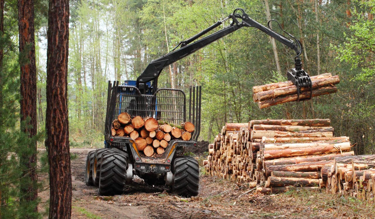 Metsätyökone hakkuualueella