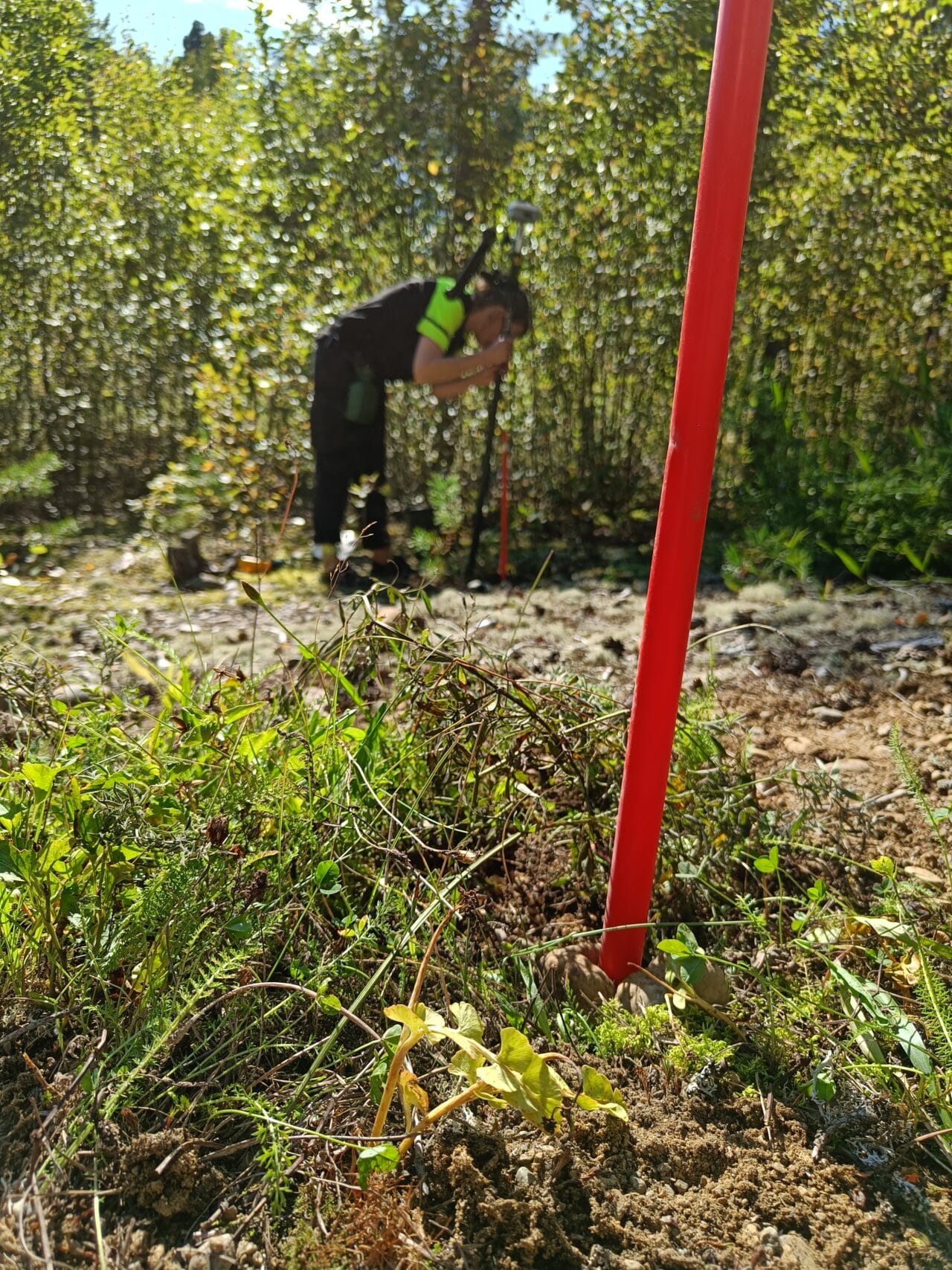 Kuvassa etualalla uuselinympäritsöön siirretty ketonoidanlukko ja aurauskeppi. Taustalla henkilö työvaatteissa tarkkuus-gps-laitteen kanssa.